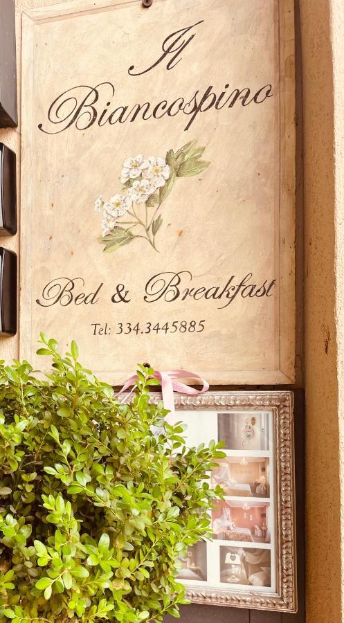 B&B Il Biancospino Abbadia San Salvator Exteriör bild
