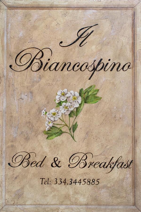 B&B Il Biancospino Abbadia San Salvator Exteriör bild